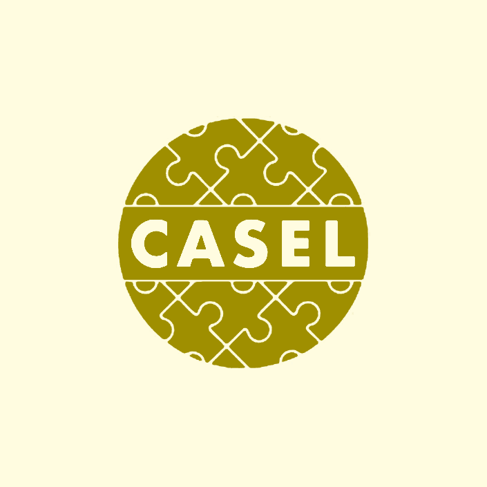 Blue circle logo with "CASEL" in bold white letters on a puzzle piece pattern, built on the trusted CASEL framework, showing connection and community on a light blue background.